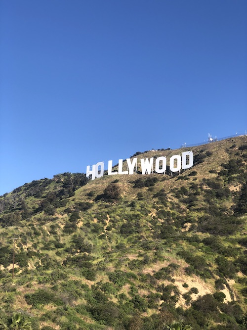 Randonnee-Hollywood-signs-los-angeles-off-road#8